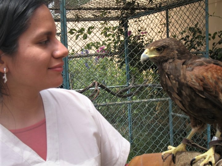 Charlene Lujan-Vega with a red-tailed hawk