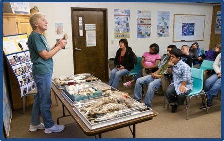On-site Presentation