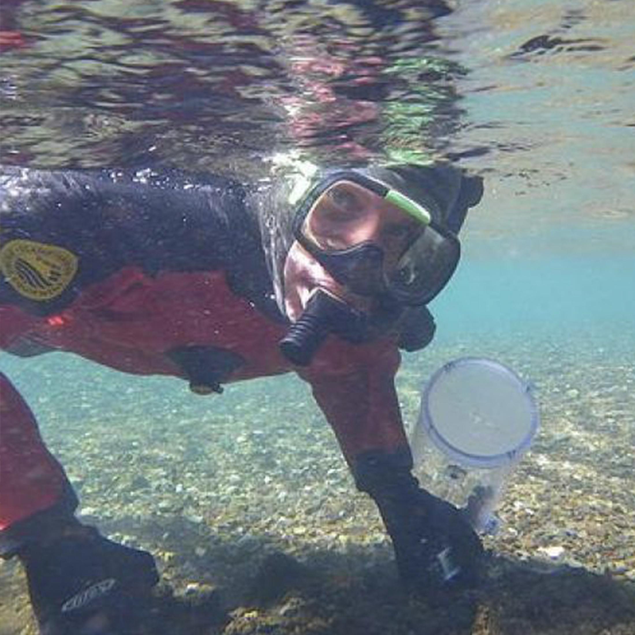 Josh Hull scuba diving