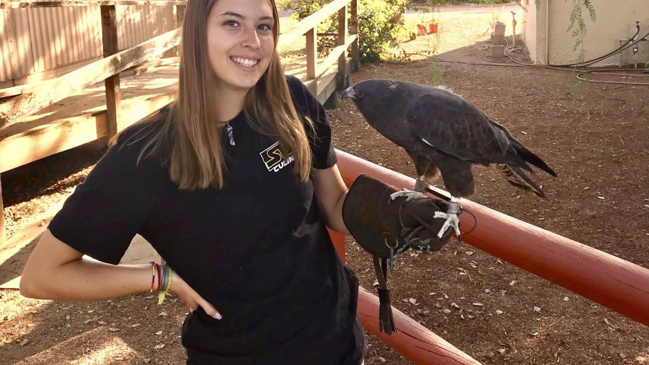 Emily Shane with Whistler the Swainson's Hawk