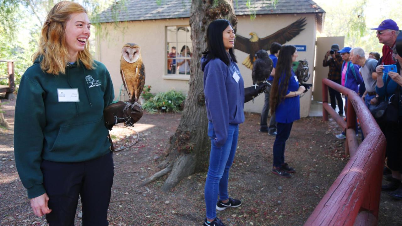 california raptor center open house