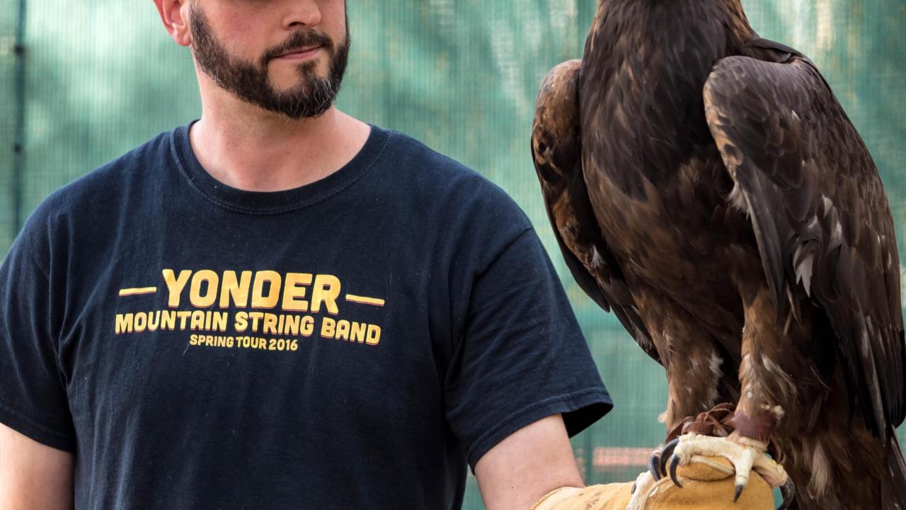 Ross Lewin and golden eagle Sullivan