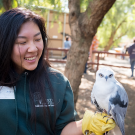 woman holding a white tailed kite on the glove