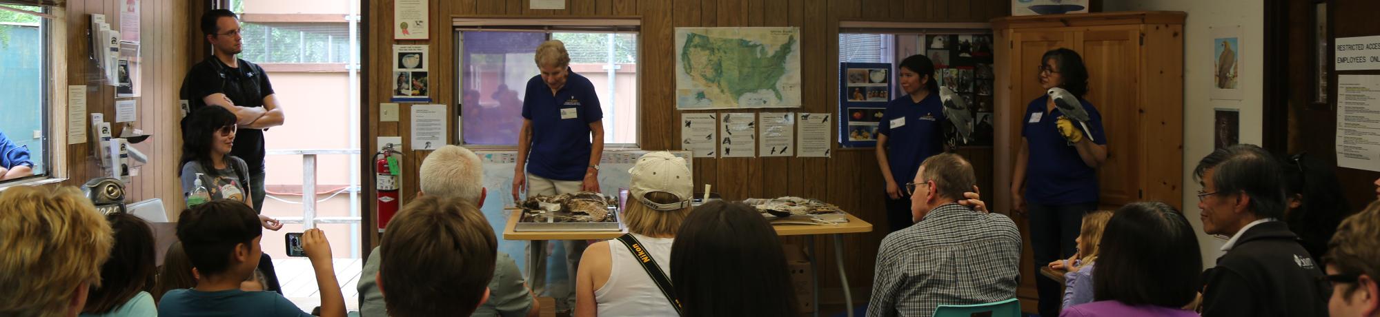 volunteers teaching students about raptors