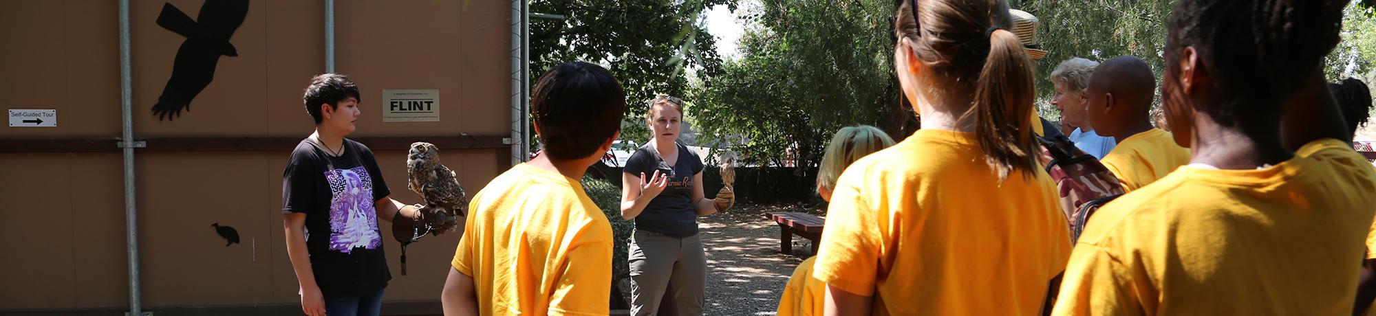 presenting raptors to students
